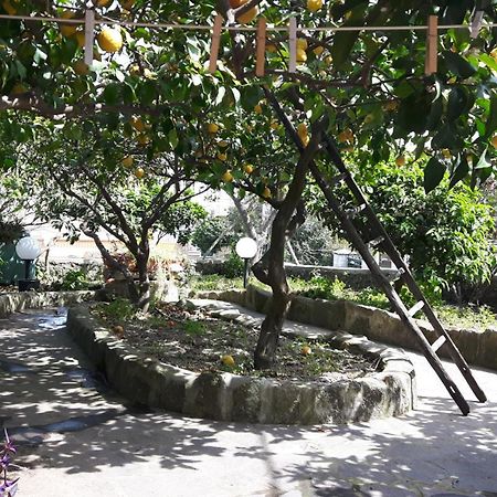 Holiday Apartments Lacco Ameno  Luaran gambar