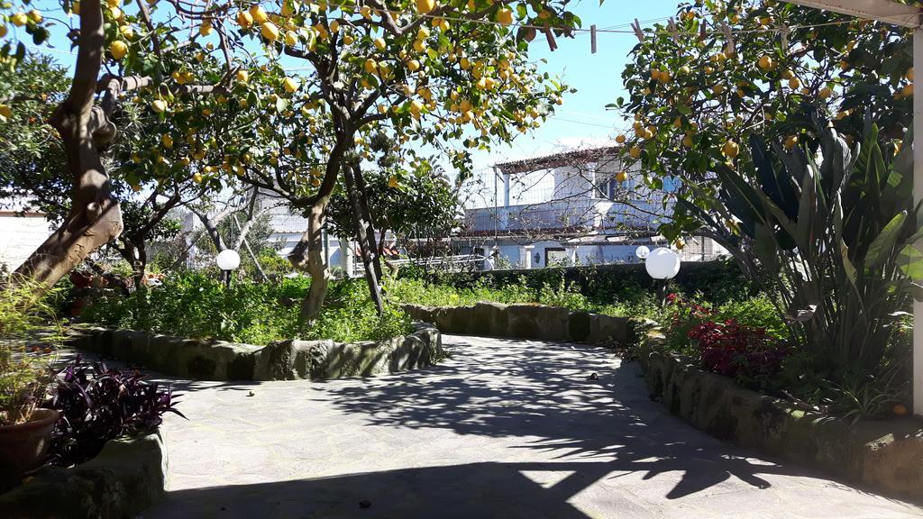Holiday Apartments Lacco Ameno  Luaran gambar